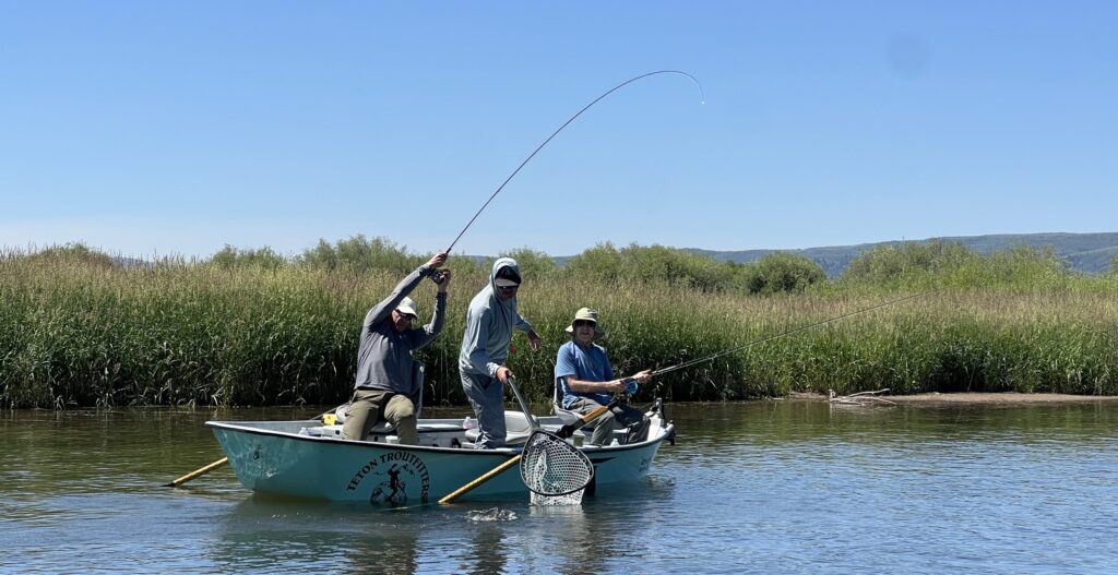 The Salt River